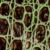 Green-Syrmia